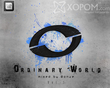 Bonze - Ordinary World 05