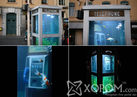 Утасны бүхээг доторх аквариум