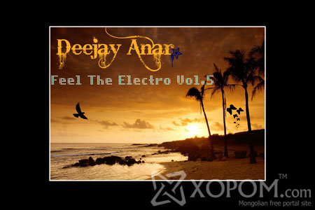 Deejay Anar - Feel The Electro Vol.5