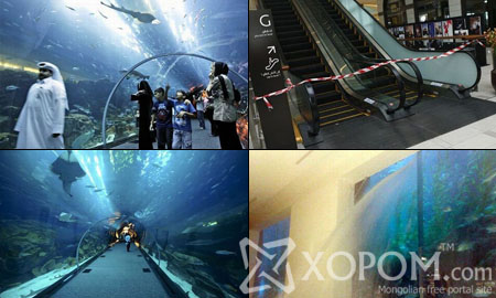 Дэлхийн хамгийн том худалдааны төв доторх аквариумд нүх үүсчээ