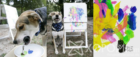 Зураач нохойны зурсан зураг 1700 америк доллараар зарагджээ [7 фото + 1 видео]