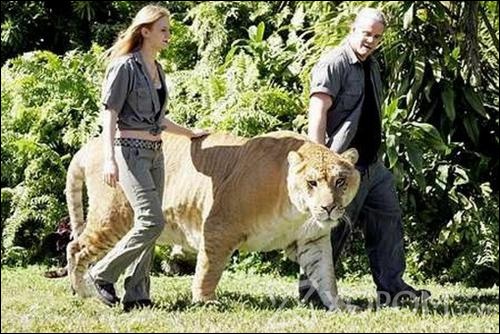 [ XopoM.com ] фото