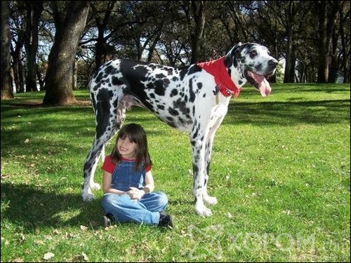 [ XopoM.com ] фото