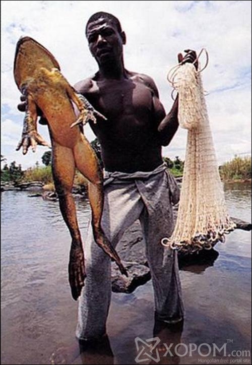 [ XopoM.com ] фото