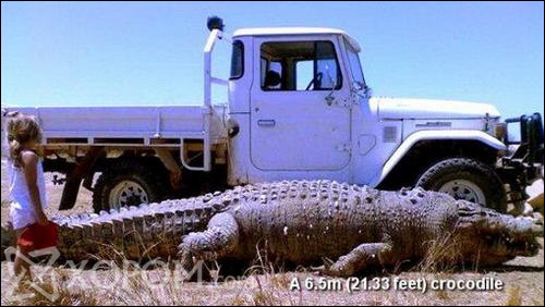 [ XopoM.com ] фото