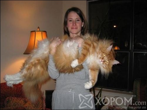 [ XopoM.com ] фото