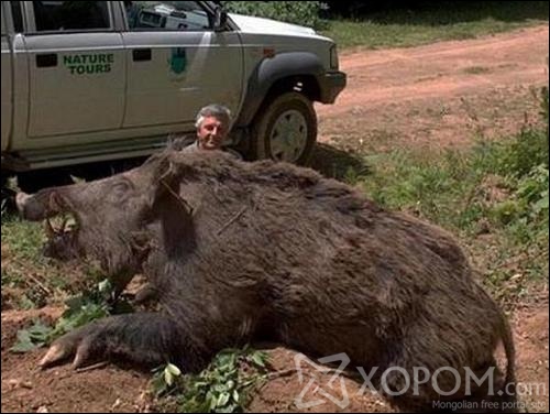 [ XopoM.com ] фото