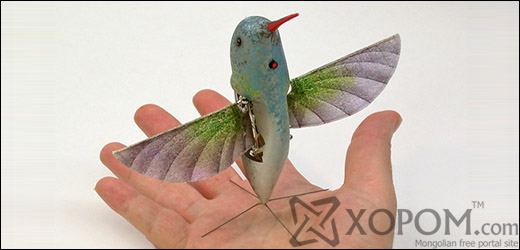 Нано соно бялзуухай буюу Nano Hummingbird