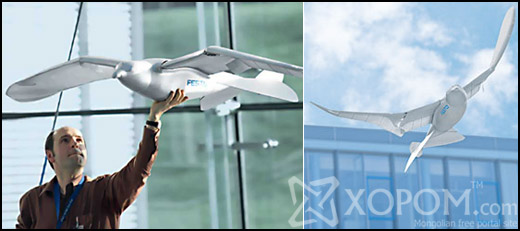 Бионик цахлай SmartBird-ын гайхамшигтай нислэг
