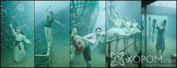 Andreas Franke-ын тэнгисийн усан доорх гэрэл зургийн үзэсгэлэн [25 зураг + 1 видео]