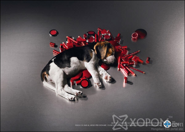 cure the victims of domestic tests 60 Creative Public Awareness Ads That Makes You Think