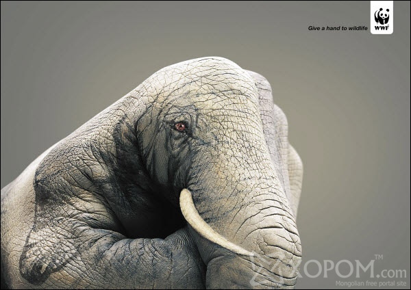 give a hand to wildlife 60 Creative Public Awareness Ads That Makes You Think