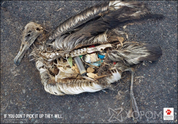 they will pick it up 60 Creative Public Awareness Ads That Makes You Think