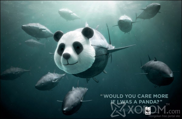 would you care more if im panda 60 Creative Public Awareness Ads That Makes You Think