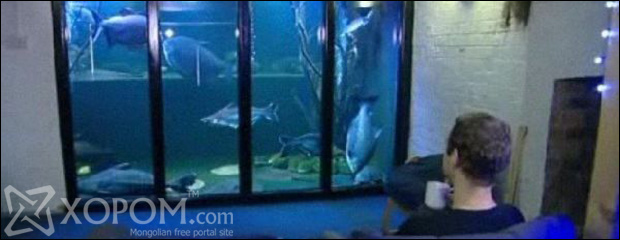 Загасанд туйлын дуртай эрхэм аварга том аквариум бүтээжээ