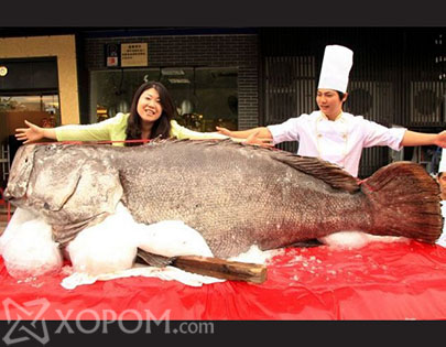 Хятадад гурван метр шахам урт алгана загас баригджээ